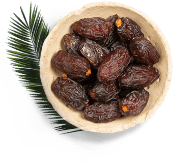 التمر